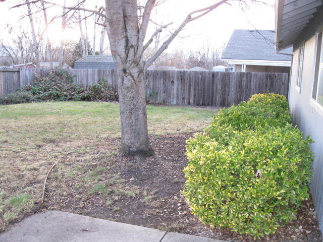 Building Photo - 2640 Montara Dr