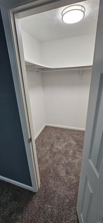 Building Photo - 1505 Westminster Dr