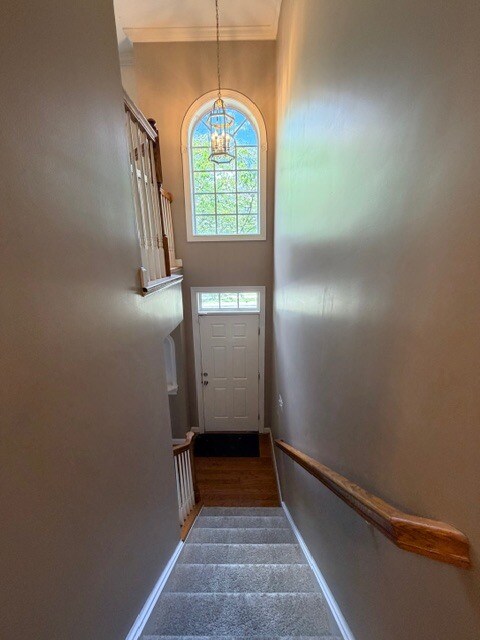 Building Photo - 203 Altair Way