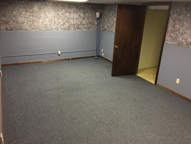 Finished basement - 911 S Mulberry St