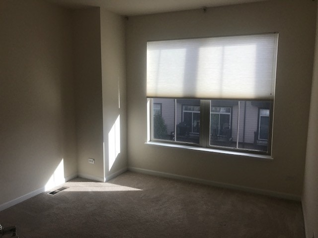 Building Photo - 409 Alpine Springs Dr