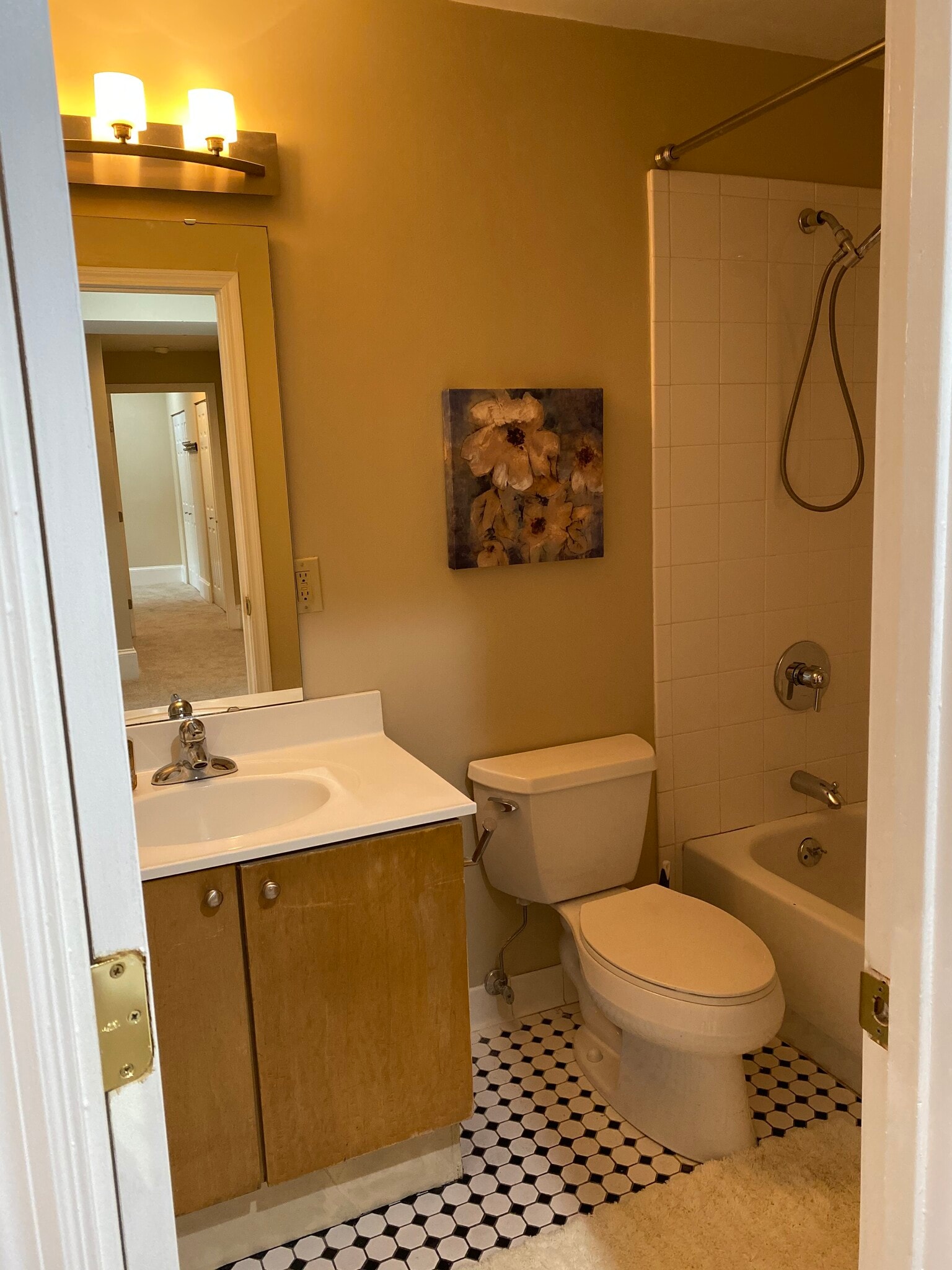 Guest bath - 803 E 6th St