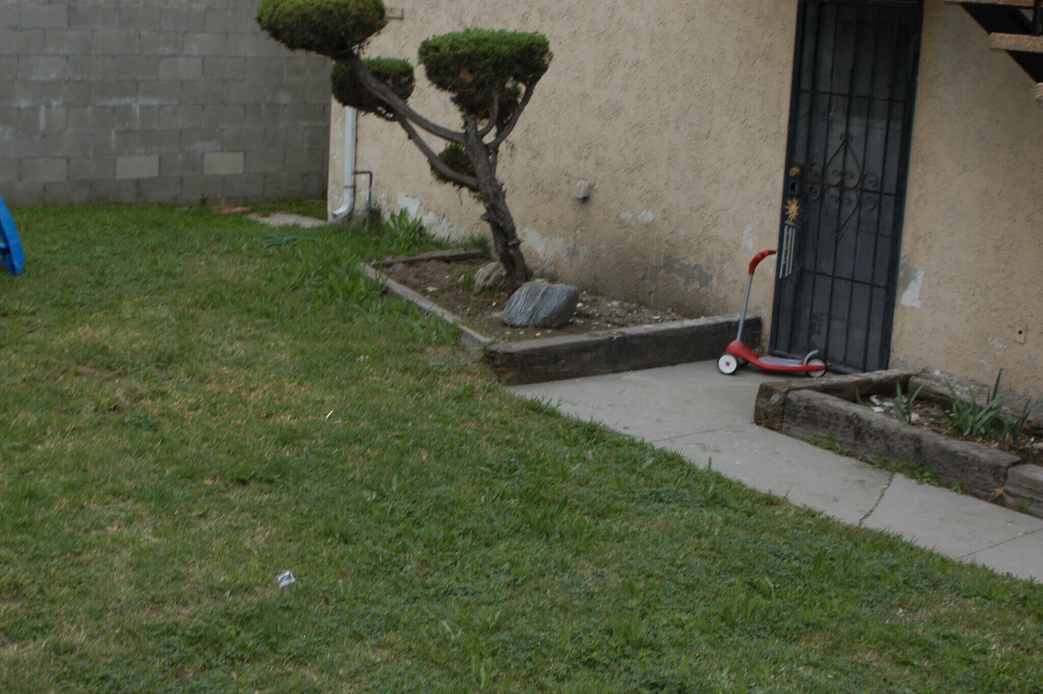 Yard - 7123 Lime Ave