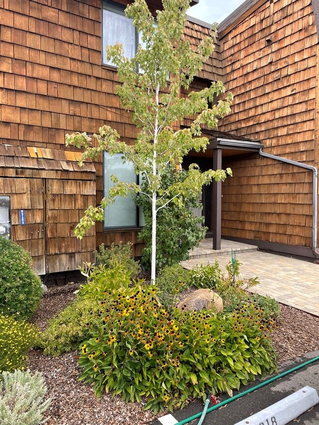 Building Photo - 552 Christie Dr