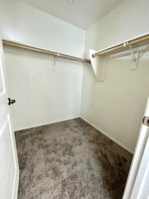 Building Photo - 11010 S Silver Fern Dr