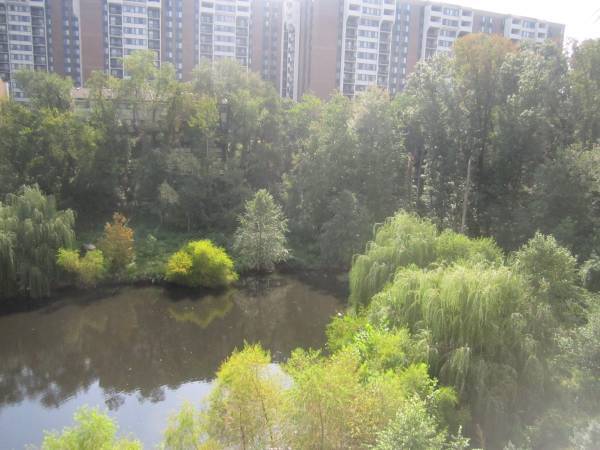 Building Photo - 4550 Strutfield Ln