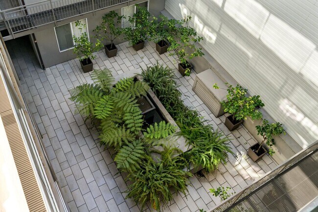 Building Photo - HIP 2BR/2BA Inner Mission Boutique Top Flo...