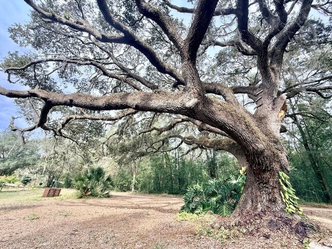 Building Photo - Enjoy the peace and quiet in this secluded home located on private lake!!!