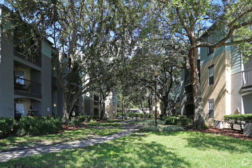 Primary Photo - The District at Clearwater