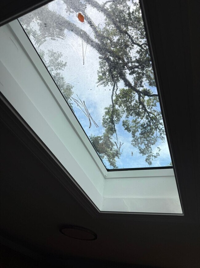 Building Photo - 325 Mayo St