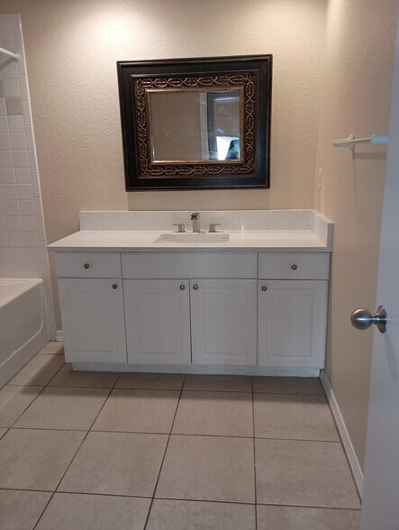 Master bath vanity - 402 S Armenia Ave