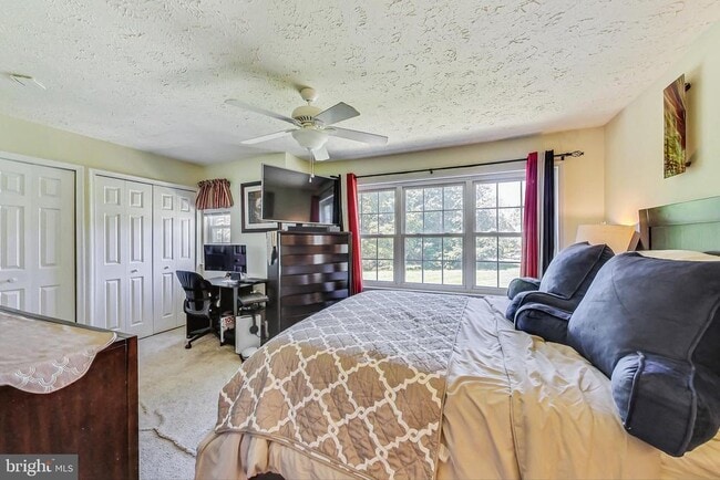 Building Photo - 6063 Sirenia Pl