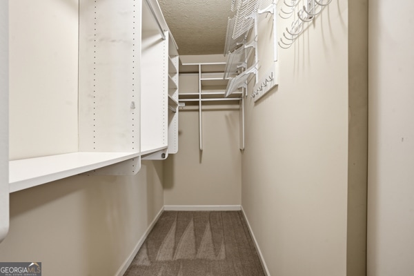 Building Photo - 3880 Roses Trail