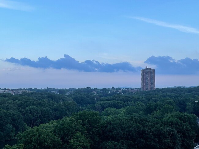 Building Photo - 77 Pond Ave