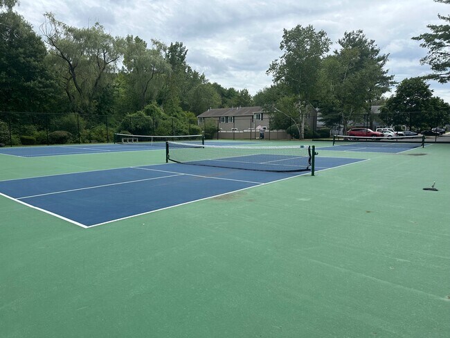 Pickleball/tennis court - 25 Village Rock Ln