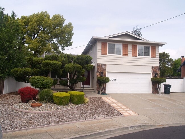 Primary Photo - RENT WILL BE $3950 THROUGH MAY 2026!