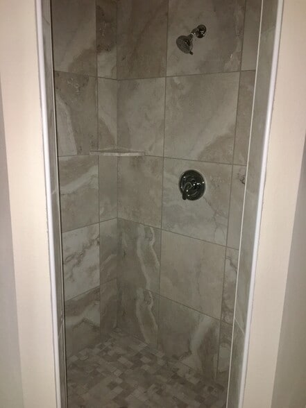 Master Shower - 810 E Gottsche Ave