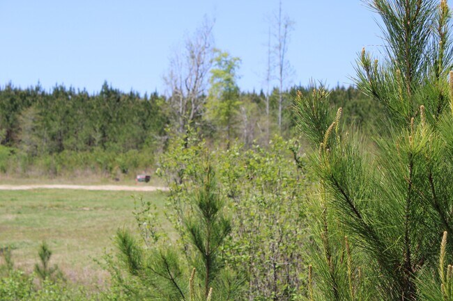 Building Photo - 818 W Grantville Rd