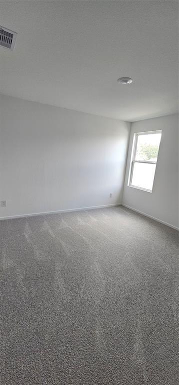 Building Photo - 21310 Offida Ln
