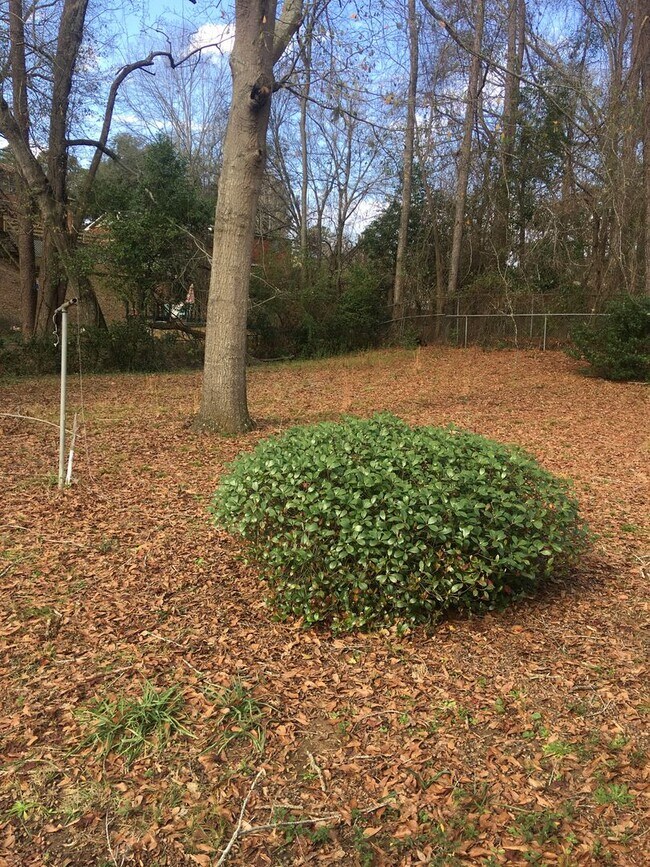 Building Photo - Beautiful Remodeled 3/1 Home