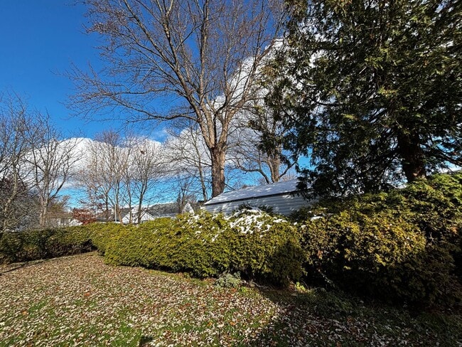 Building Photo - 3 Bedroom 1 Bath Rental Rome NY