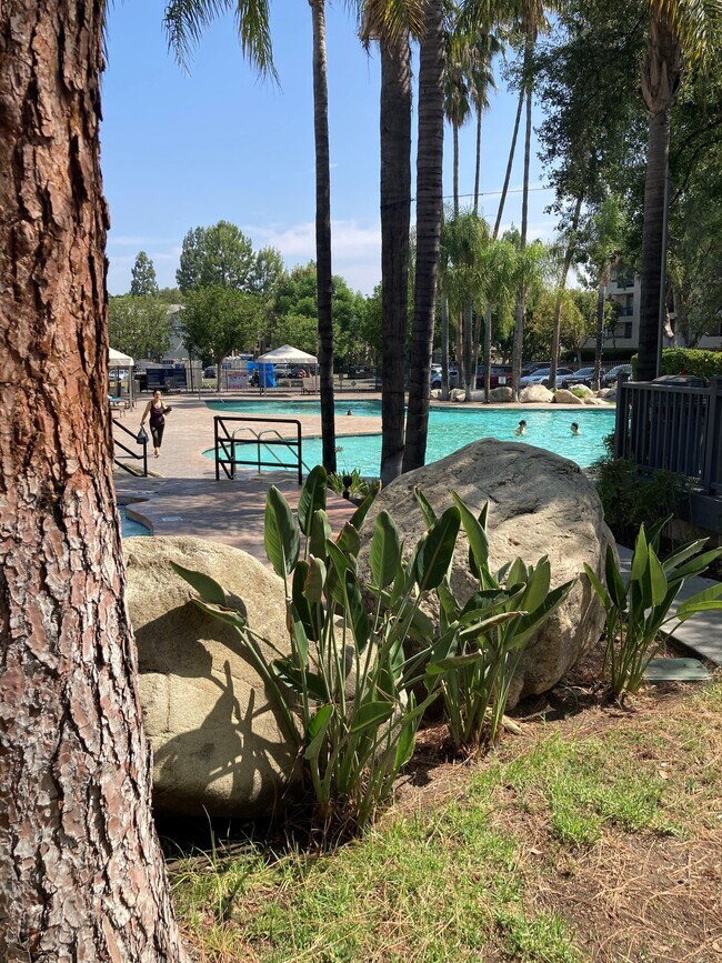 more main pool - 5535 Canoga Ave