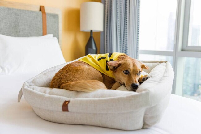 Primary Photo - 516 Lea Ave