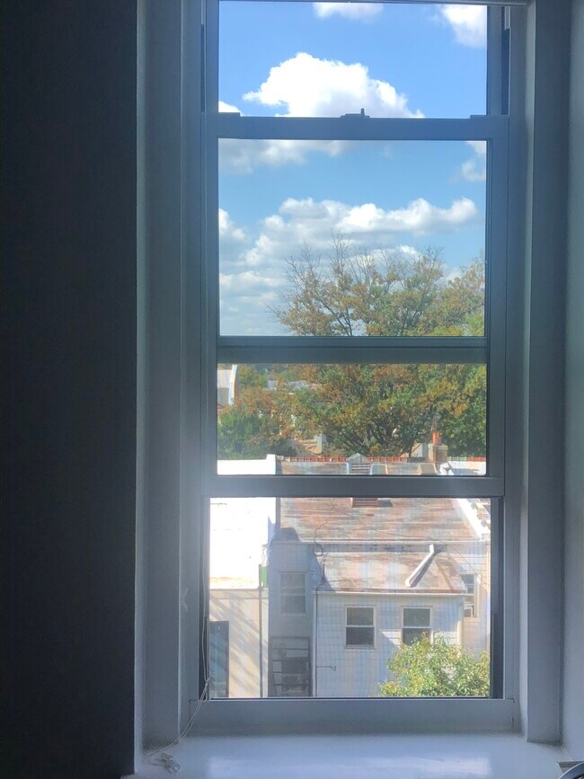 All 8 Windows New + New Blinds - 1763 Columbia Rd NW