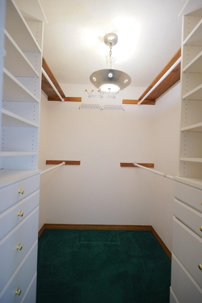 Building Photo - 1309 Domingo Dr