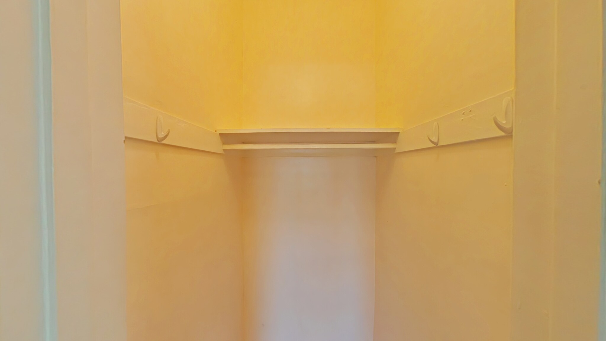 Bedroom closet - 207 W Windsor Rd