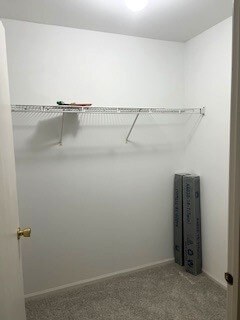 Building Photo - 1309 Silverstone Dr