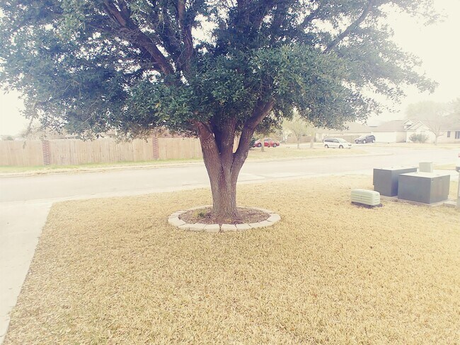 Building Photo - 211 Wild Buffalo Dr