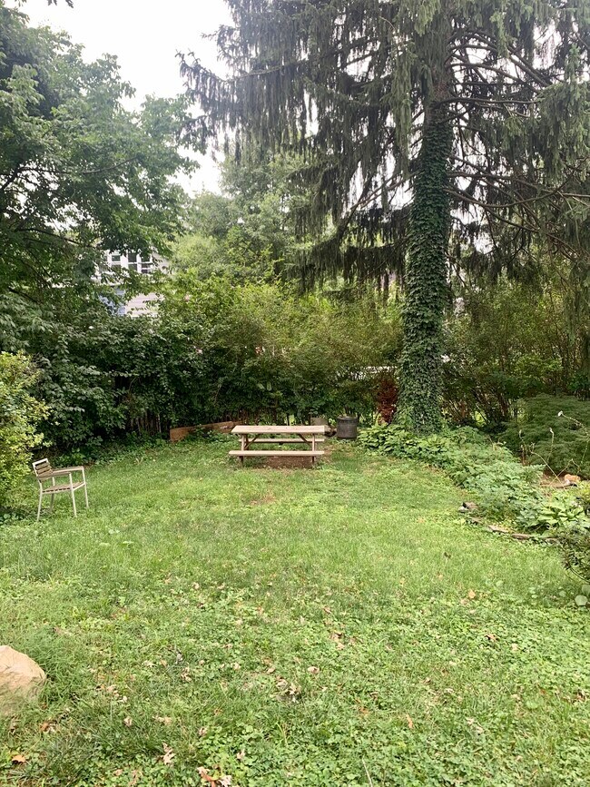 Backyard - 220 E Glenside Ave