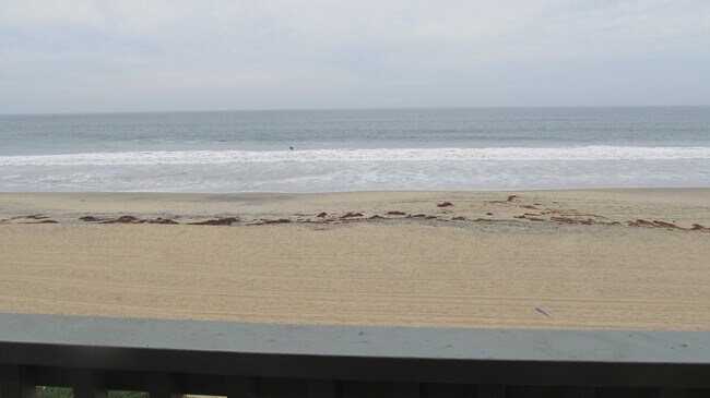 Building Photo - ACROSS FROM THE BEACH!