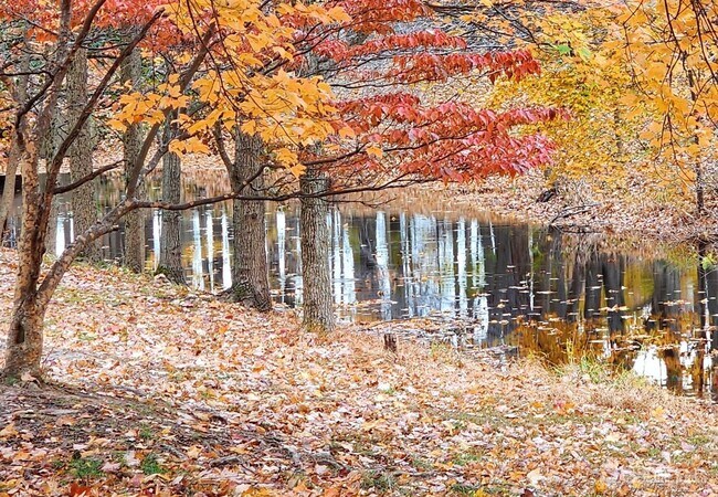 Building Photo - 295 Constitution Cir