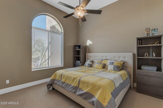 Building Photo - 6938 E Lomas Verdes Dr