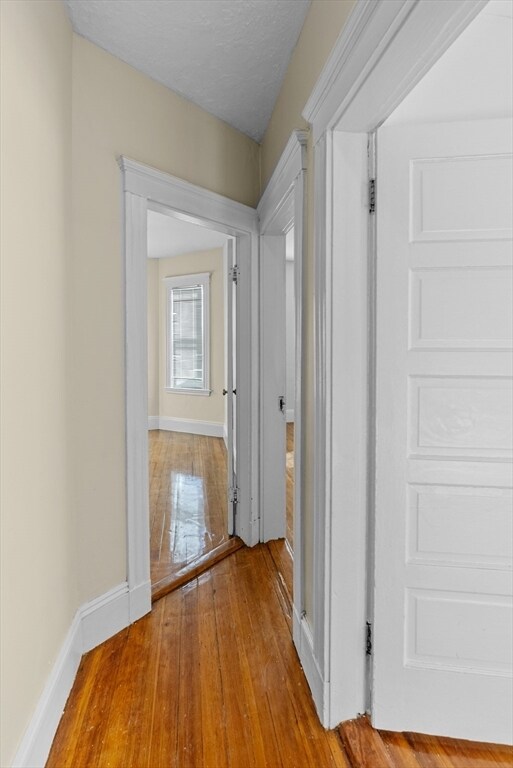 Building Photo - 44 Speedwell St