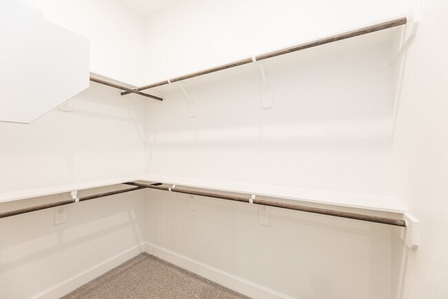 Building Photo - 2802 Sweet Honey Ln