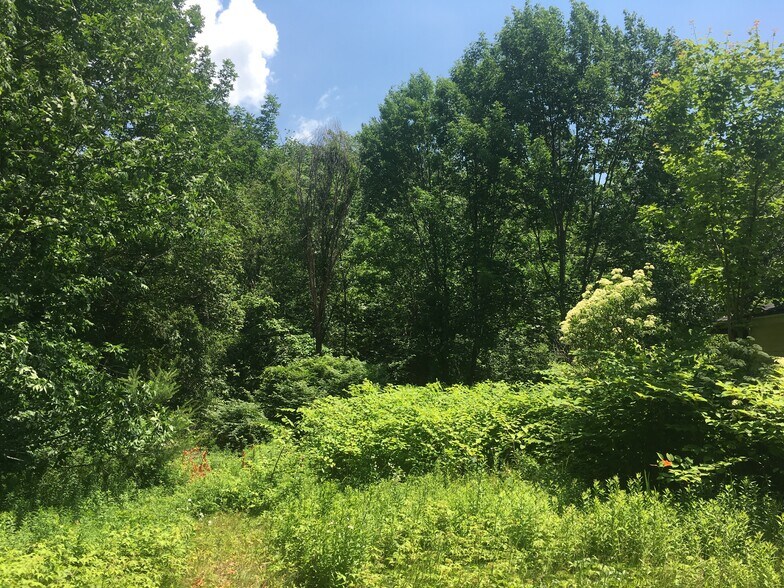 Backyard - 468 Union St