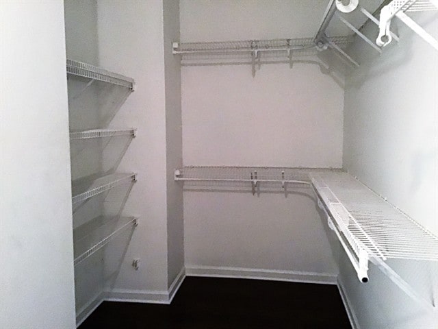 Building Photo - 348 Bald Eagle Way