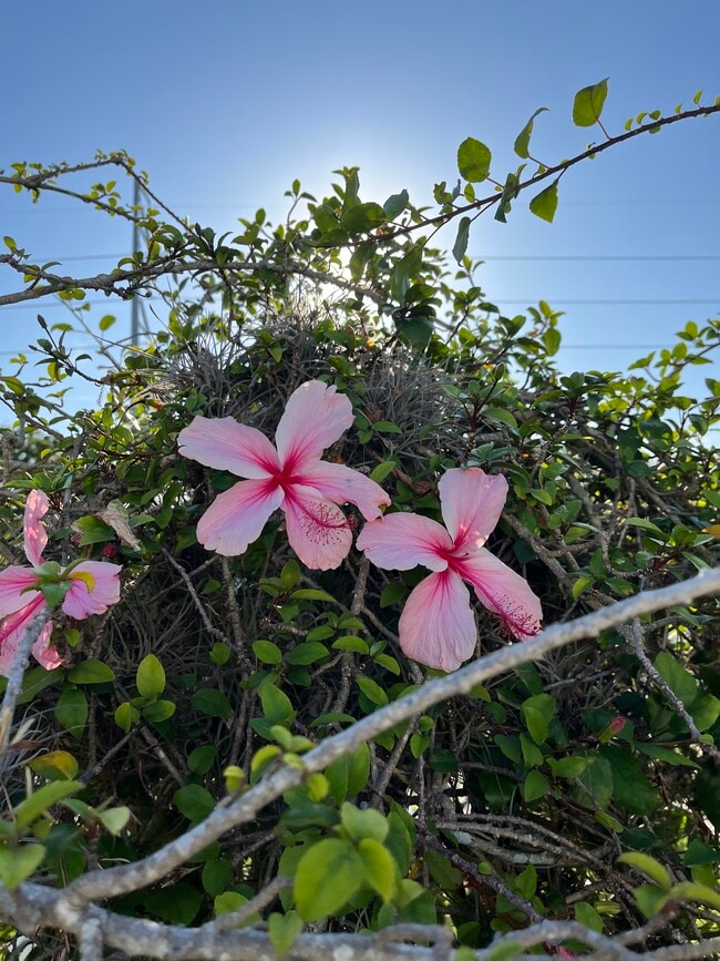 Building Photo - 1655 S Highland Ave