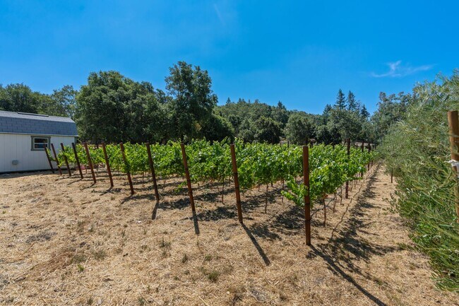 Building Photo - Modern Farmhouse w/ Pool and Paid Utilities