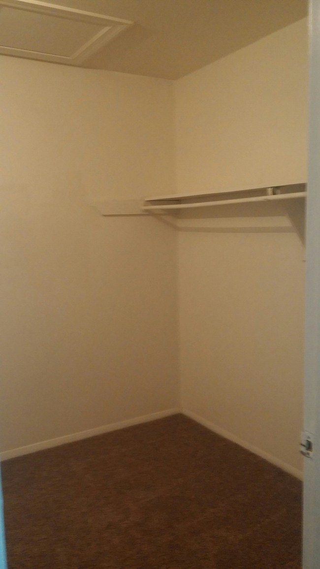 Double Wide Walk in Closet - Azalea Pointe Apartments