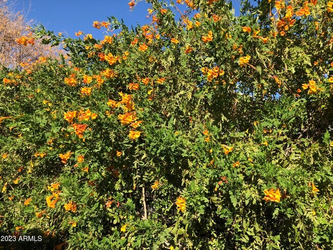 Building Photo - 705 W 16th St