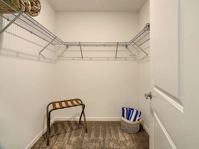 Building Photo - 1520 Oasis Club Blvd