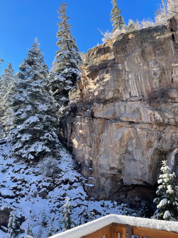 Building Photo - 1472 Oak St