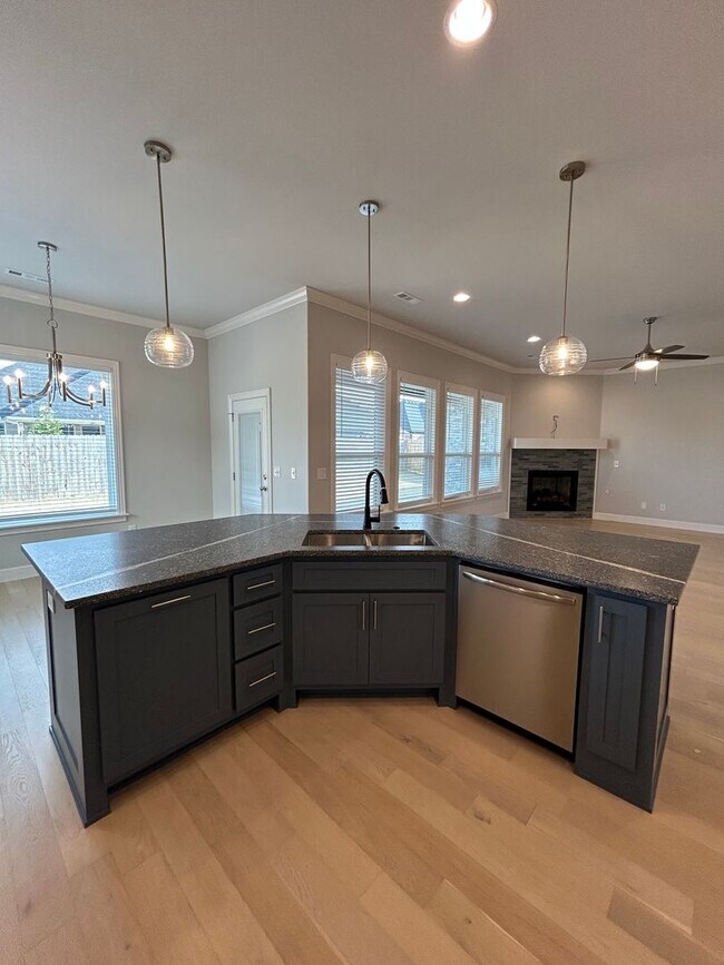 Building Photo - Beautiful Modern Home in Pea Ridge!