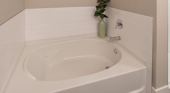 Building Photo - Beautiful Studio Home! Great Savings!