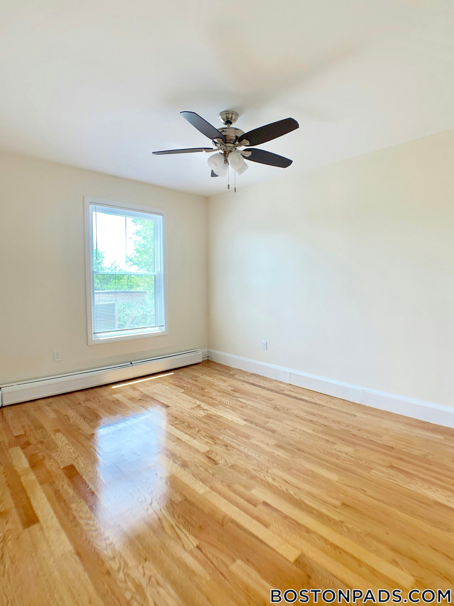 Building Photo - 35 Brookline St