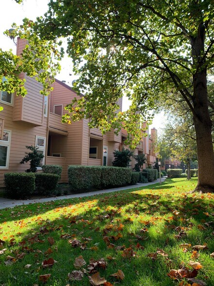 Nice landscape - 5318 Borneo Cir